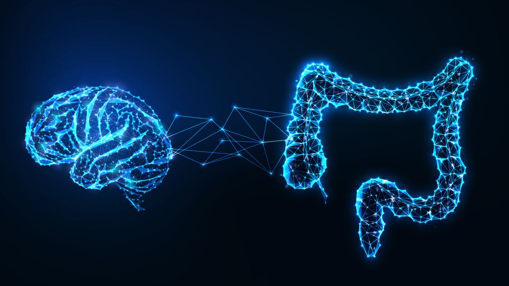 Brain Research - VihoLabs Strategic Asset Factory