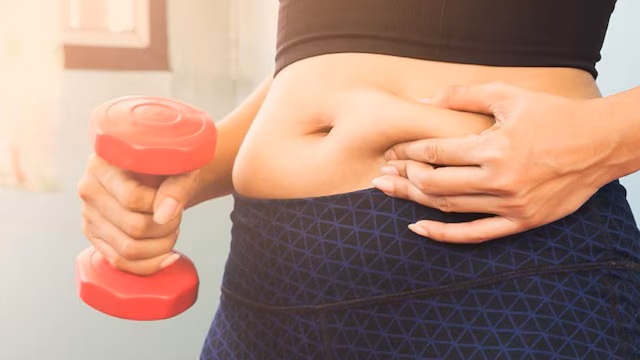 Obesity Treatment - VihoLabs Strategic Asset Factory